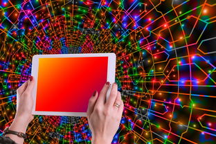 KAIYUNAPP-体育新闻中心主办体育类数字创作者发展研讨会，体育产业数字化创新