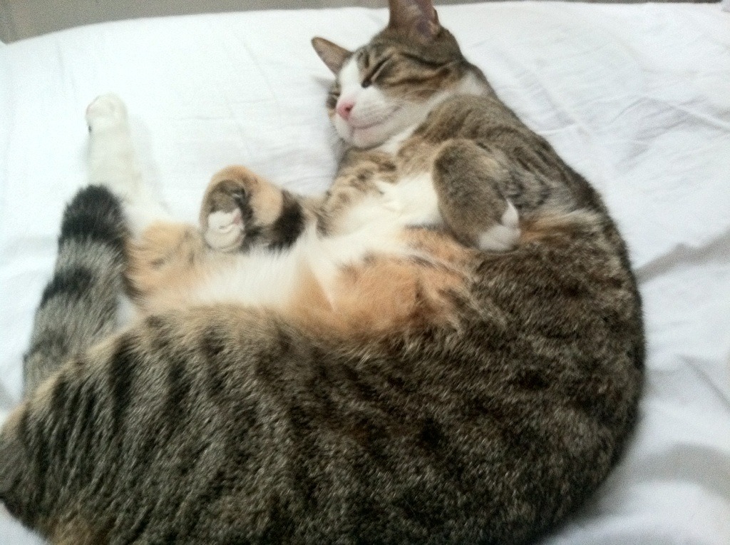 开云体育登录网站入口-中甲俱乐部加大青训投入布局未来五年发展蓝图，中甲俱乐部靠什么赚钱