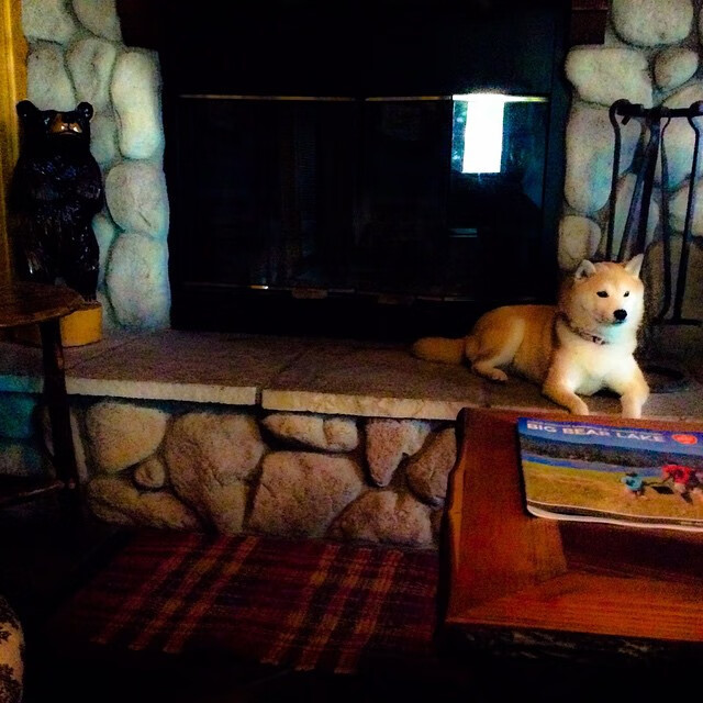 kaiyun.com-乌干达女篮在国际赛场中实力不断提升，夺冠在望